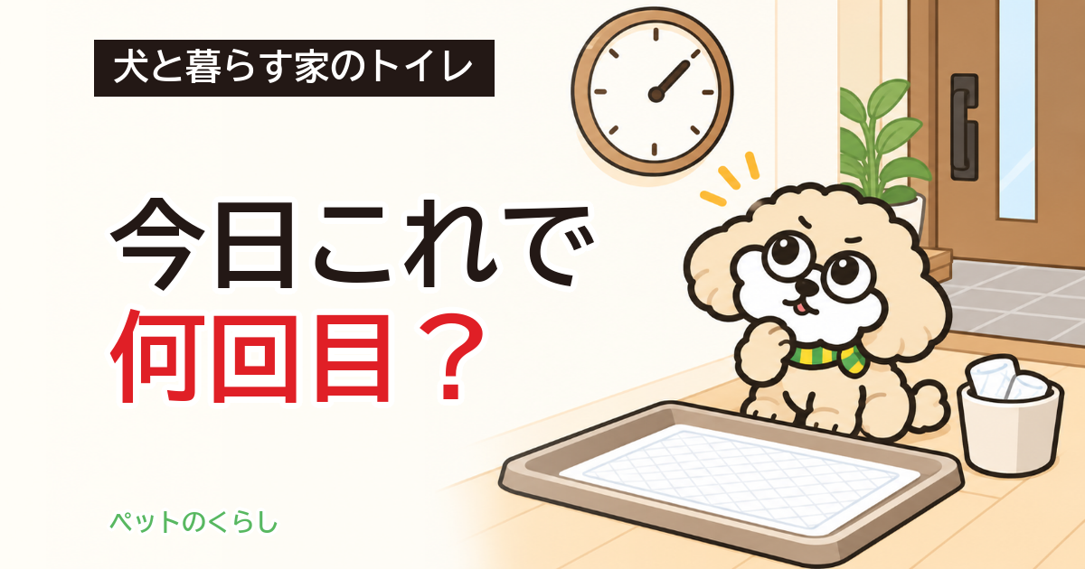 犬のトイレの回数｜1日の目安と、増えたとき家で見ること