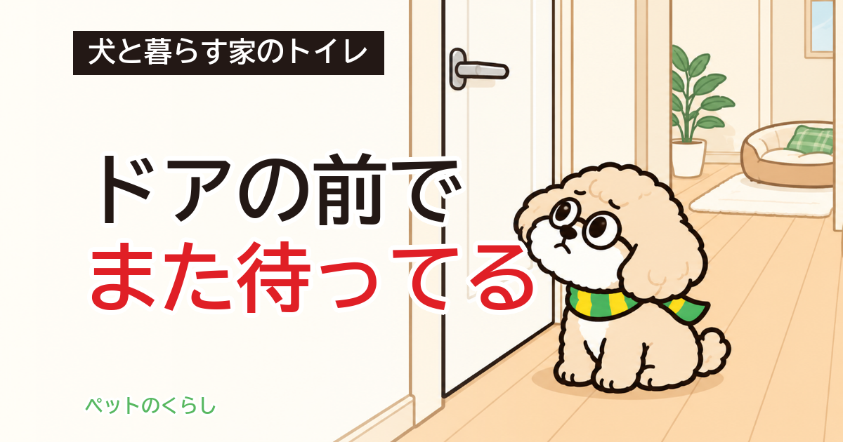 犬がトイレについてくる|分離不安との違いとドアの使い方