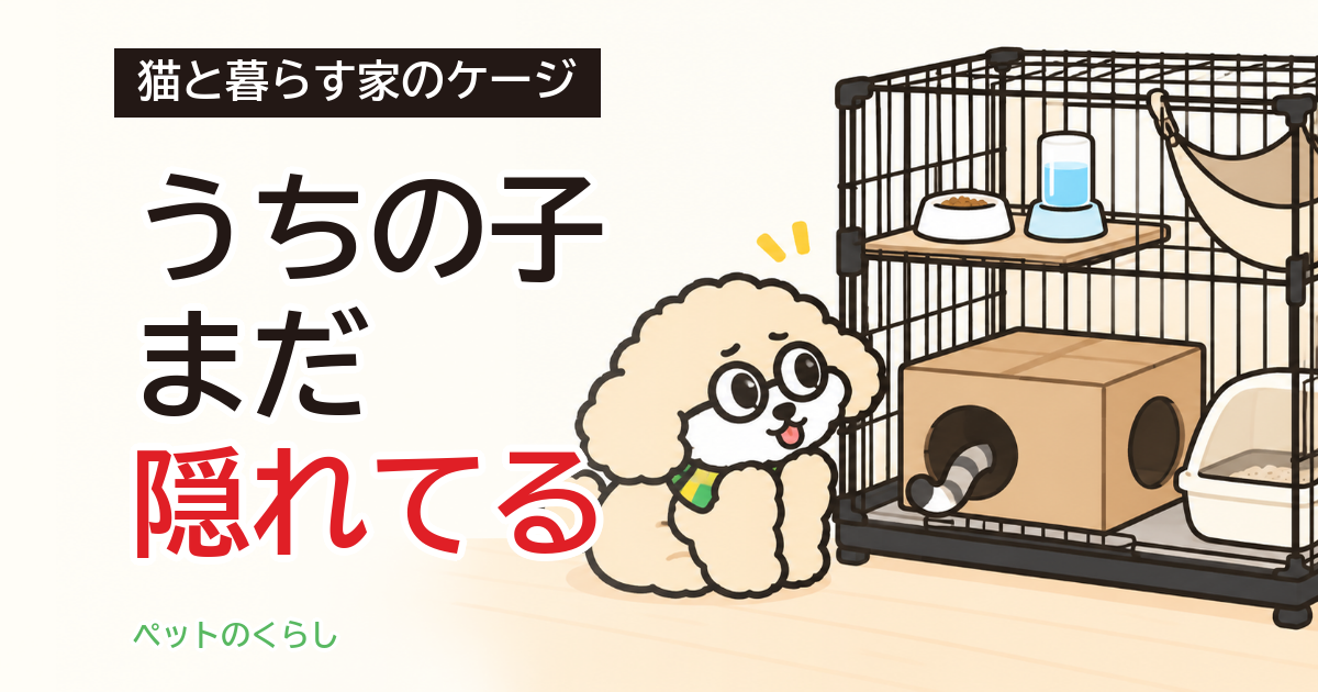 猫のケージのストレス｜隠れ場所で変わること、変わらないこと
