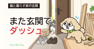猫の脱走防止扉の選び方｜自作の前に見る寸法と強度
