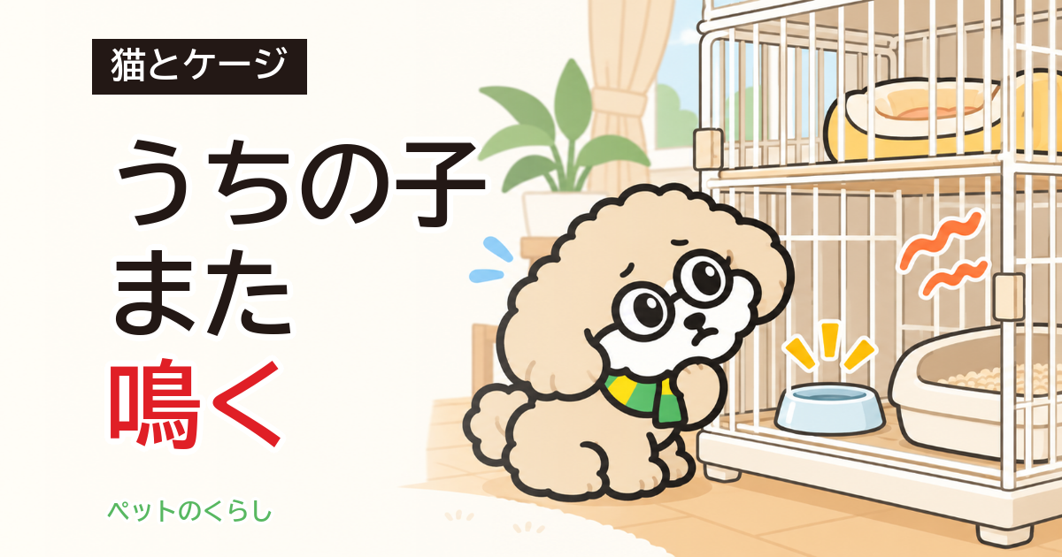 猫がケージで鳴く｜無視していいかと、中で先に見るもの
