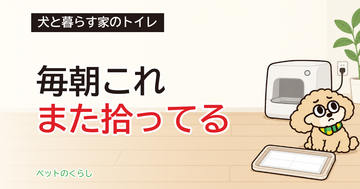 犬のトイレは自動にできる？置ける家の条件と選び方