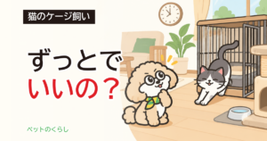 猫のケージ飼い｜寿命は縮む？出す時間の決め方