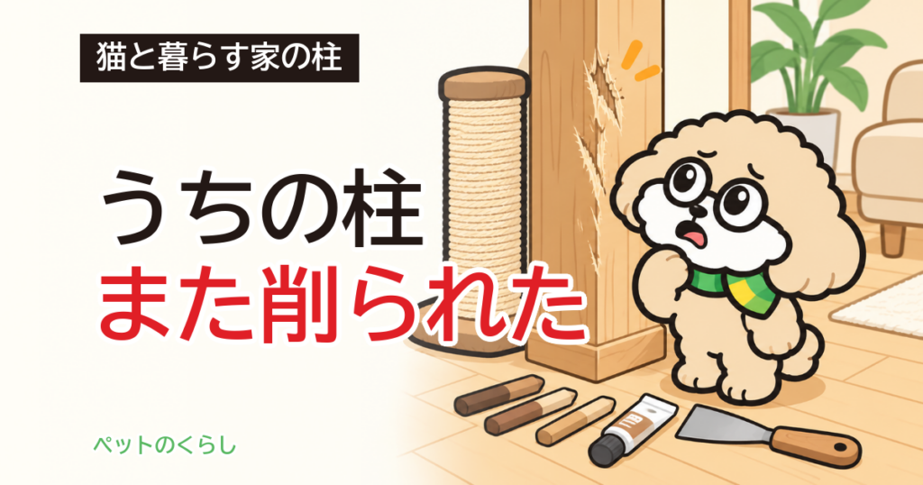 猫の爪とぎで傷んだ柱の補修｜補修材の硬さと直す順番