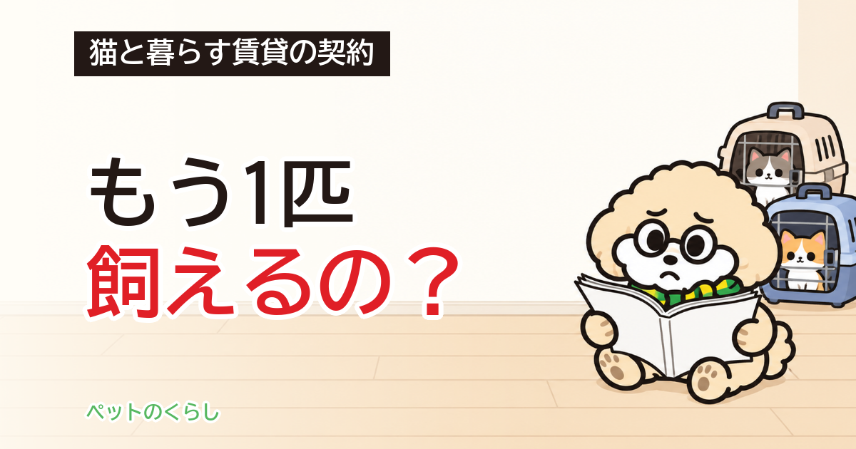 猫の多頭飼いと賃貸｜何匹までかは契約のどこで決まる