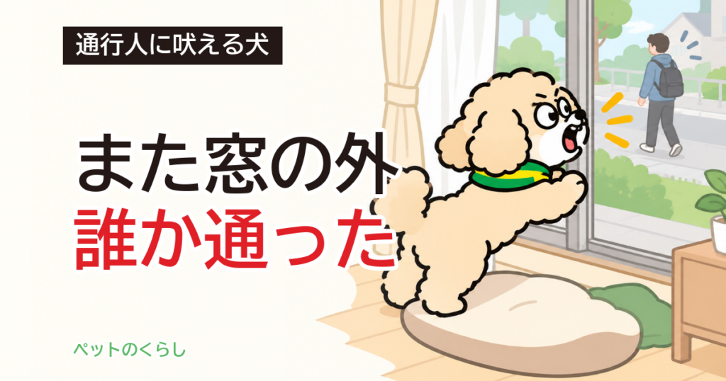 通行人に吠える犬｜窓から見える範囲の切り方