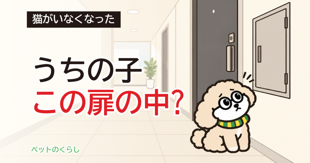 猫の脱走の探し方｜家の中と、マンションで見る場所