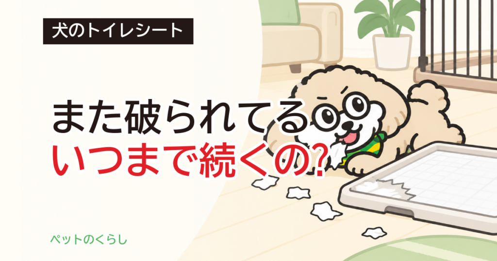 犬がトイレシートを食べる｜いつまで続くか、家でできること