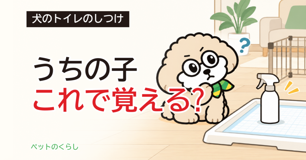 犬のトイレのしつけスプレーの効果｜成分と手作りの前に