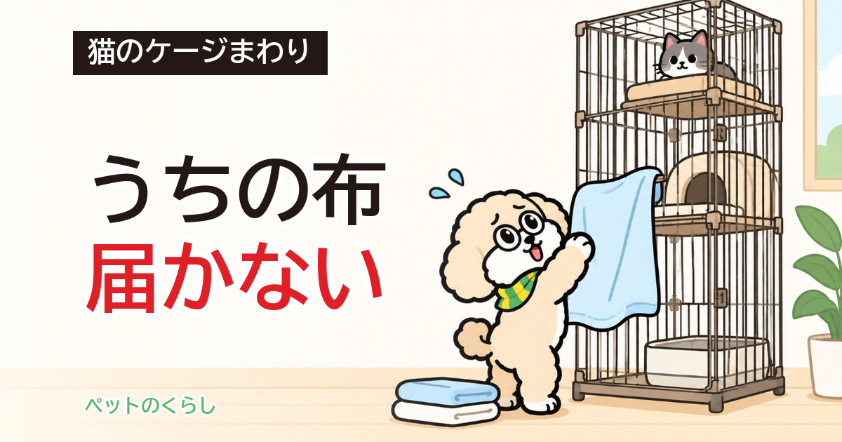 猫のケージカバー｜代用できるものと、かける前の確認