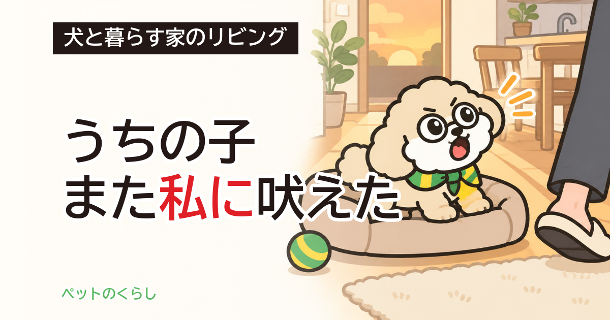 犬が吠える相手が飼い主のとき｜家で見直す3か所