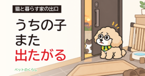 猫の脱走の理由｜外に出たがる子の家で見直す3つ