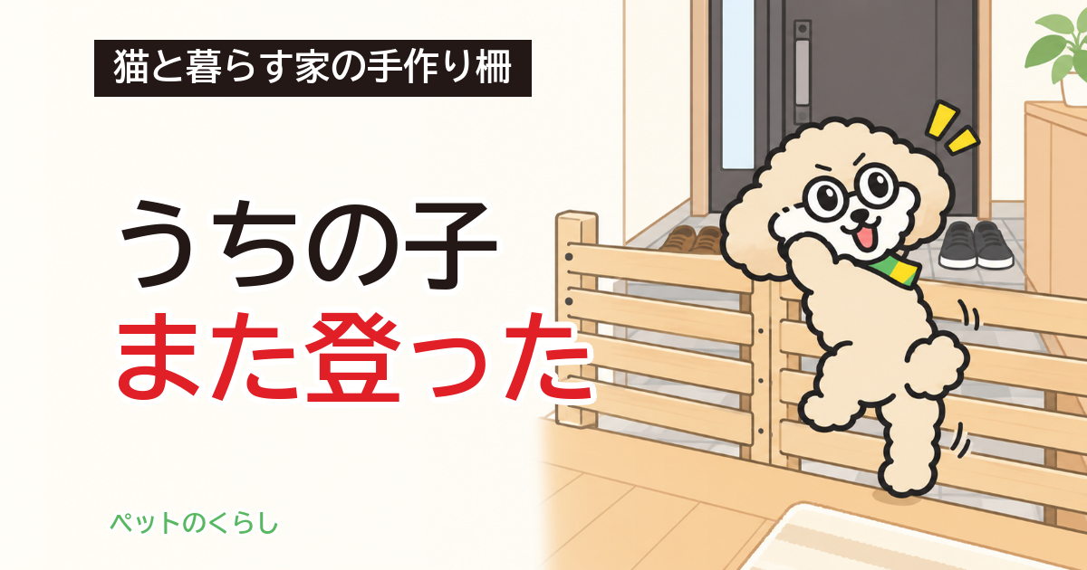 猫の脱走防止DIY｜すのこの隙間と、登らせない向き