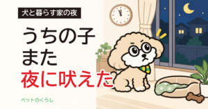 犬が夜中に吠えると近所迷惑？苦情の前に家ですること