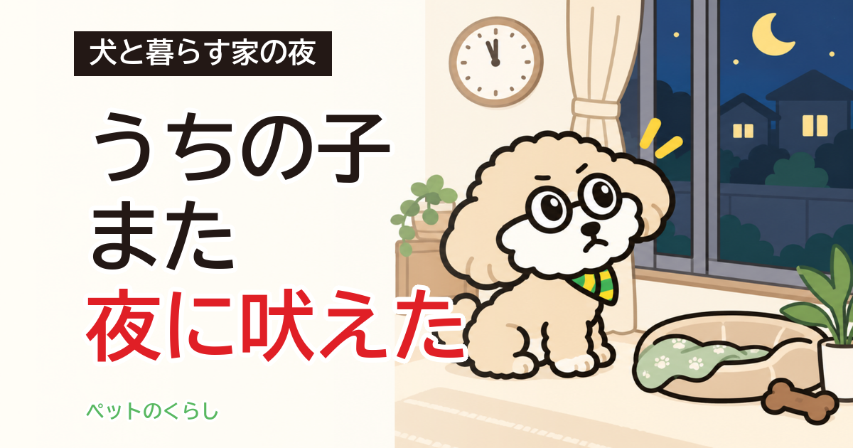 犬が夜中に吠えると近所迷惑?苦情の前に家ですること
