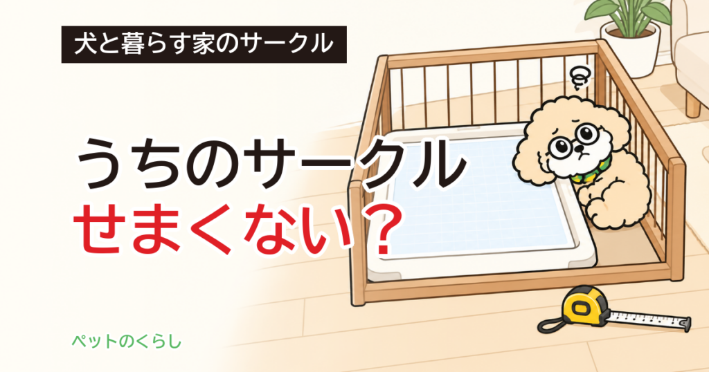 犬のトイレトレーニング｜サークルの中の置き方と広さ