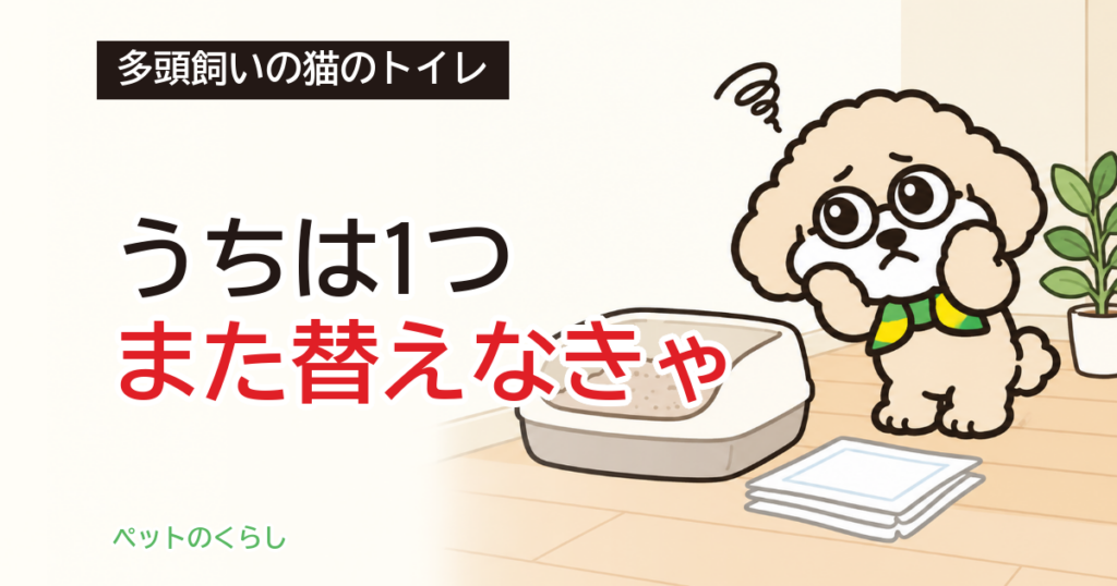 猫の多頭飼いのトイレは共用できる？交換日数と分ける目安