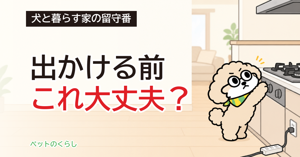 犬の留守番|出かける前に家で見る5か所