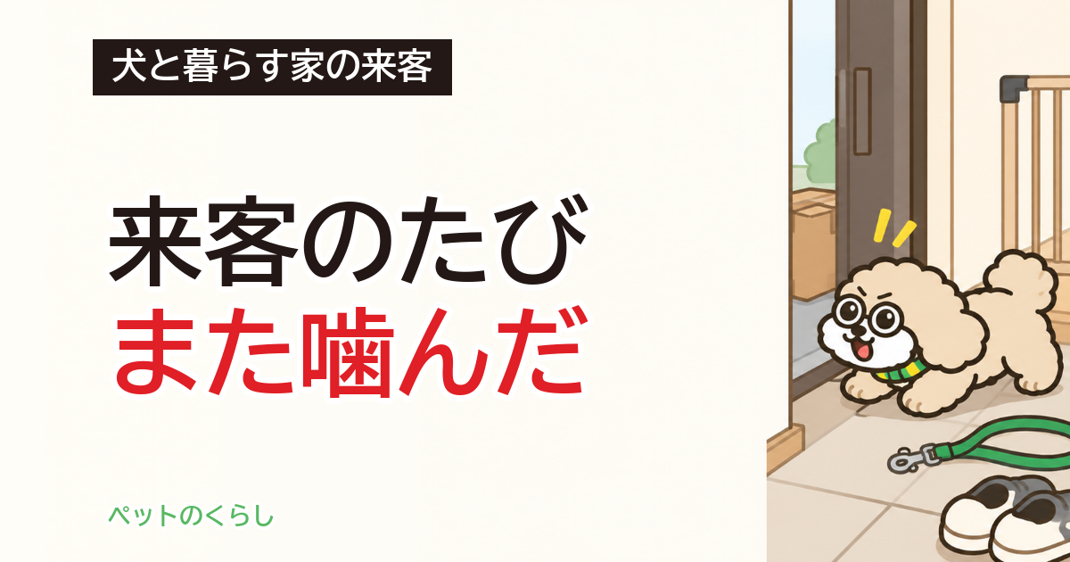 犬が噛むしつけ｜家の中で起きる事故と対策