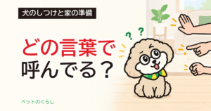 犬のしつけ一覧｜コマンドの数と家族で決める言葉