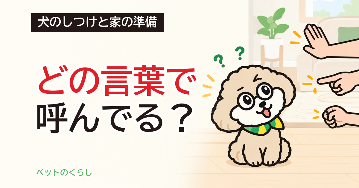 犬のしつけ一覧｜コマンドの数と家族で決める言葉