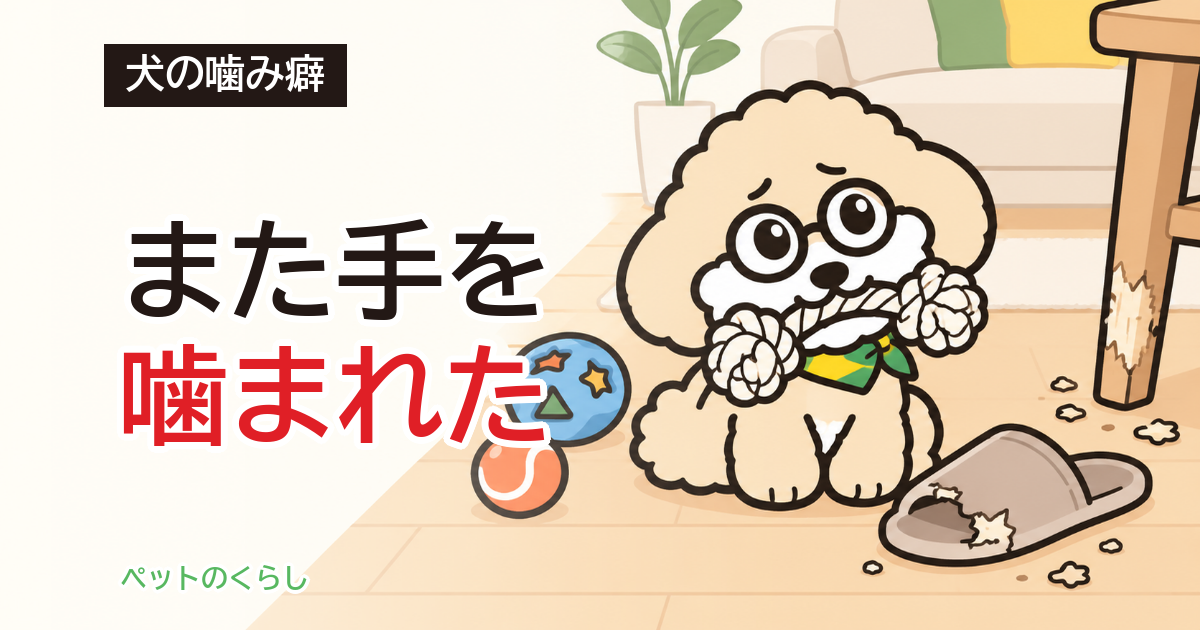 犬の噛み癖のしつけ｜家で先に用意するもの