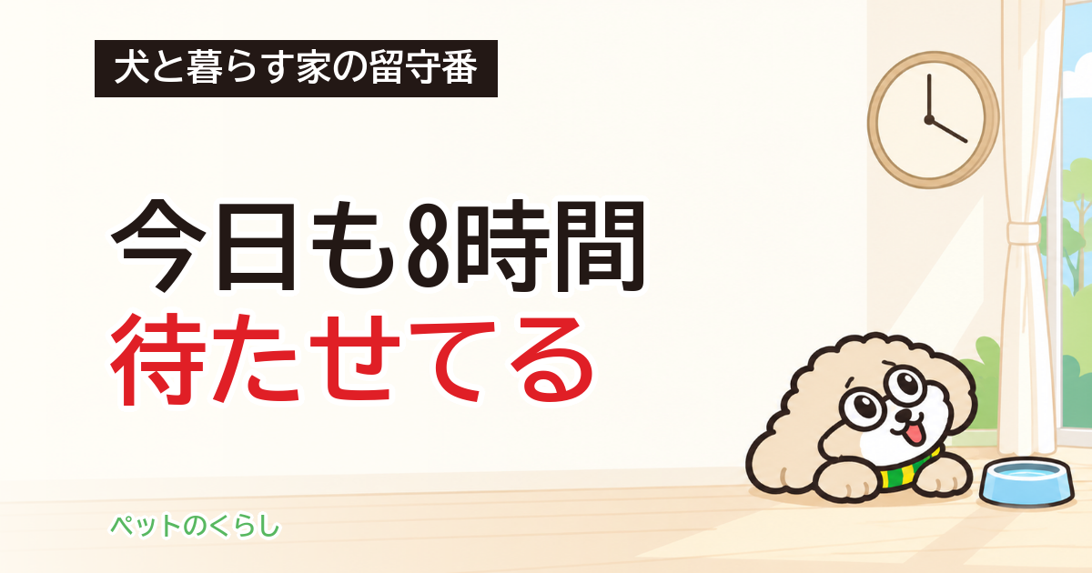 犬の留守番の時間｜何時間までかは家の条件で決まる